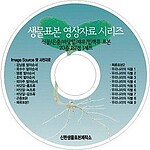 식물, 곤충, 바닷말, 패류, 잎맥 표본 20종 CD (KSIC-6068)