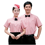 줄지 반팔 와이셔츠