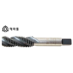 스파이럴 탭 (호모)