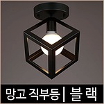 망고 직부등