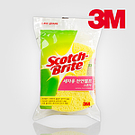 세차스폰지