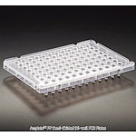 PCR 플레이트