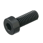 플라스틱(RENY) Hexagon socket low head cap screw