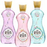샤프란 꽃담초