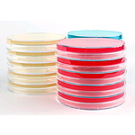 MYP Agar