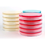BPA (Baird Paker Agar)