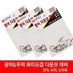 와이드갭 다운샷 채비