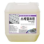 스케일 제거제