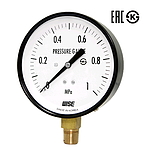 일반압력계 (100mm NEW , Mpa/NPT/P110)