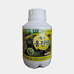 응진싹