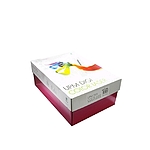 DIGIColorLaser A3 컬러레이저 전용지 120g (1박스)