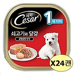 강아지 캔 (퍼피 소고기와 달걀 100gx24캔)