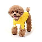 강아지 티셔츠 (치얼업 옐로우)