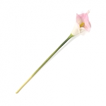 플라워가든 카라 조화