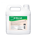 포렉스 솝 그린