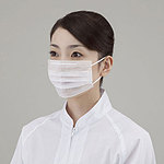 사니에코마스크 2ply 평면 귀 걸이식