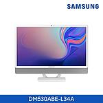 올인원PC (DM530ABE-L34A)