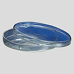 페트리접시 (PYREX)