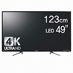 49인치 4K UHD TV (F49T4E)