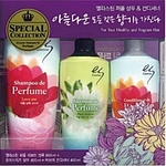 엘라스틴 퍼퓸 샴푸/컨디셔너 세트