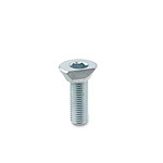 Cam point screws (GN 418.2)