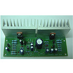 30W 파워엠프 모노(FK656)