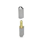 Hinges (GN 128)