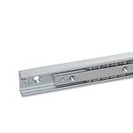 Telescopic linear slides (GN 2404)