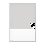 다그 CAT 보드 (no.1)