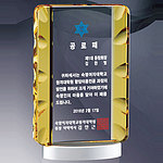 크리스탈 메탈 상패 (SP11-268-04)