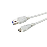 USB 3.1 C타입 to Micro B 케이블 (LS-U31-CM3BM-1M)