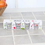 샐러리 소주잔