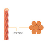 나동선 (연동연선 / 1M 단위 판매)