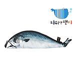 [피쉬앤팬시][정품]고등어필통