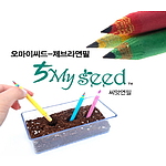오마이씨드2본입- 제브라몽당 [씨앗연필]