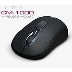LG전자 무선 마우스 CM1000