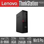 메모리 더블업 9세대 인텔코어 싱크스테이션 P330 SFF (30D1S09P00 i9-9900, 8GB, 256GB, 1TB, WIN)