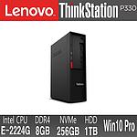 메모리 더블업 인텔 제온 프로세서 싱크스테이션 P330 SFF (30D1S0EF00 E-2224G, 8GB, 256GB, 1TB, WIN)