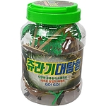 쥬라기 대탐험