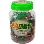 곤충 대탐험
