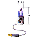화이트 빔 Ver.Ⅱ H3 12V