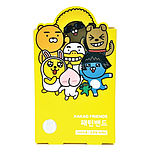 카카오프렌즈 패턴밴드