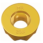 체이스몰드 (RYMX MR TT8080)