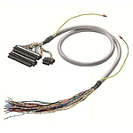 PAC LiYCY 케이블(PAC-C300-36-F-50-2M)