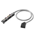 PAC LiYY 케이블(PAC-S300-HE20-V3-2M5)