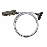 PAC LiYY 케이블(PAC-S300-HE40-S-V0-10M)