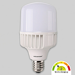 LED 빔벌브 램프 (45W, E39)