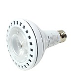PAR30L LED 램프 (32W, E26)
