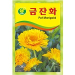 금잔화 씨앗