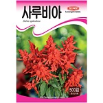 사루비아 씨앗